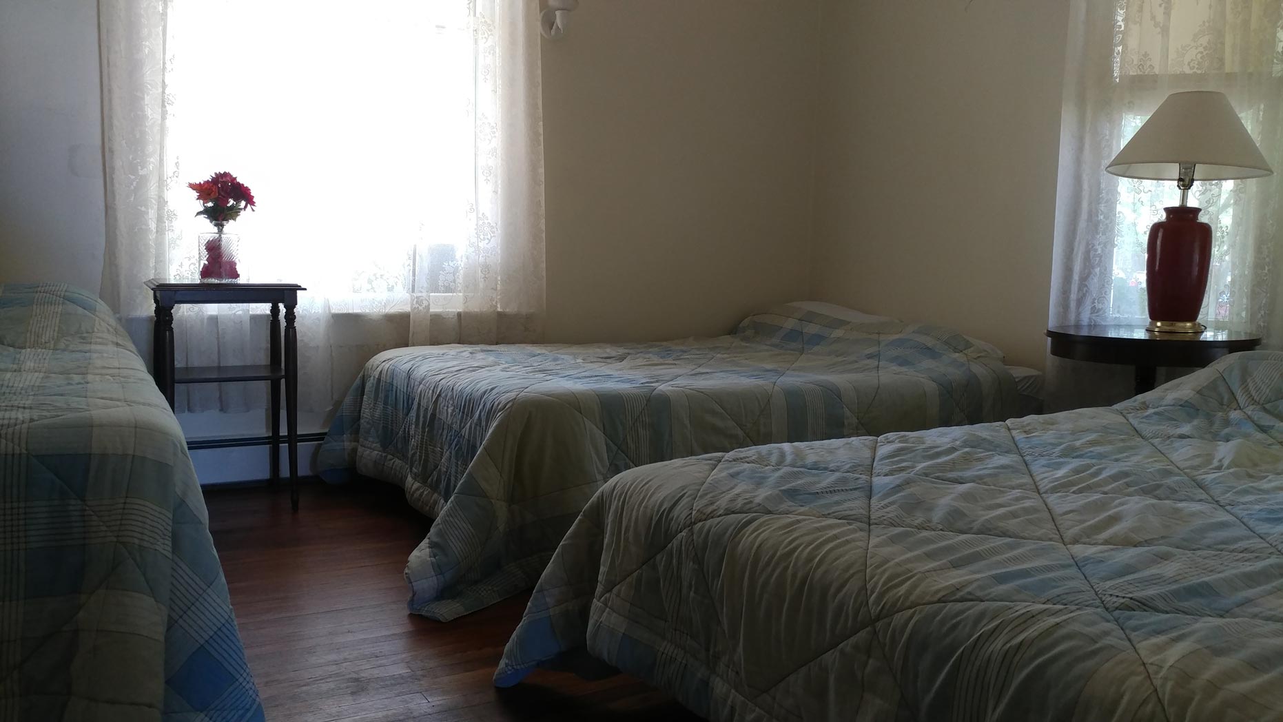 Aunt Jane's Put-in-Bay rentals